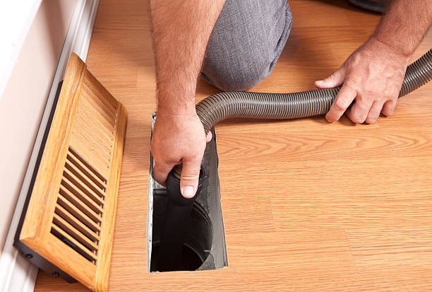 Best Air Duct Mold Removal  in Winter Garden, FL