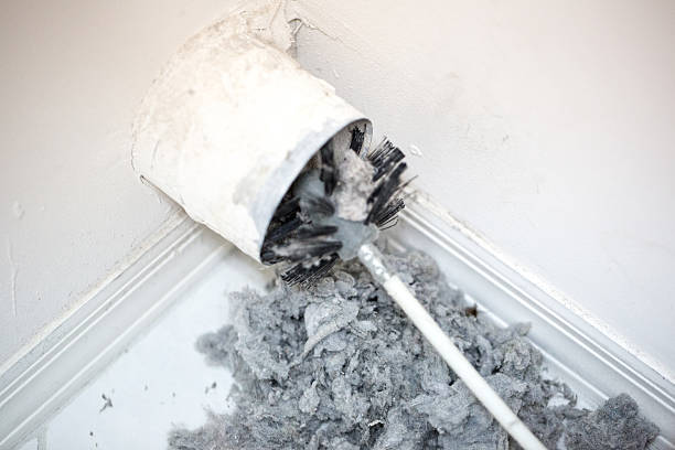 Best Air Duct Sanitizing Services  in Winter Garden, FL