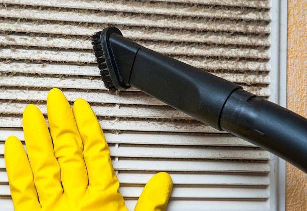 Best Residential Air Duct Cleaning  in Winter Garden, FL